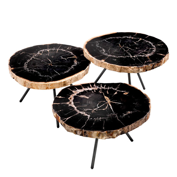 Coffee Table De Soto Set Of 3