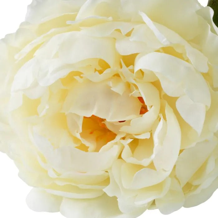 Bouquet of White Peonies 48 pcs/2 varieties