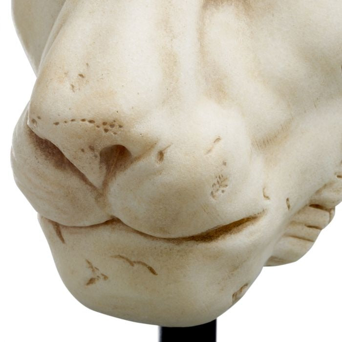Object Lion