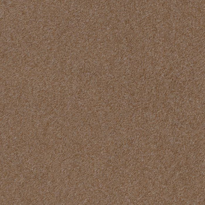 Dining Chair Costa with shelf