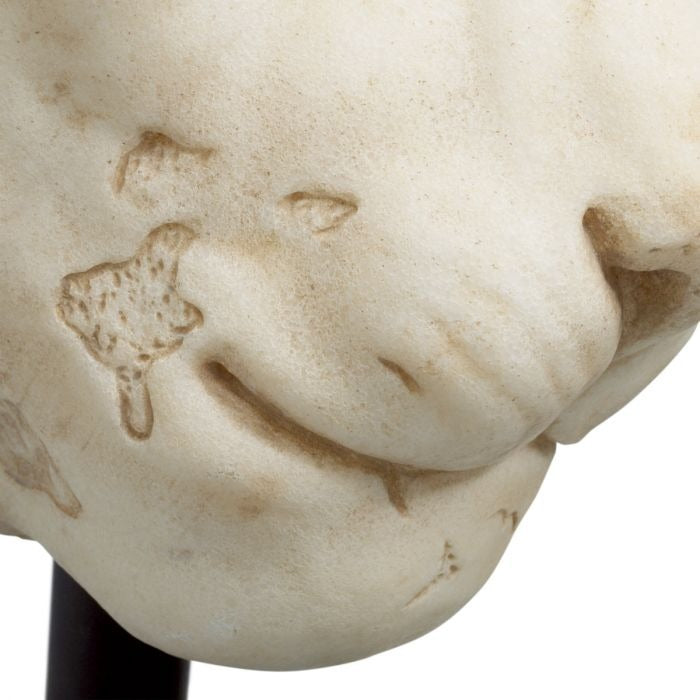 Object Lion