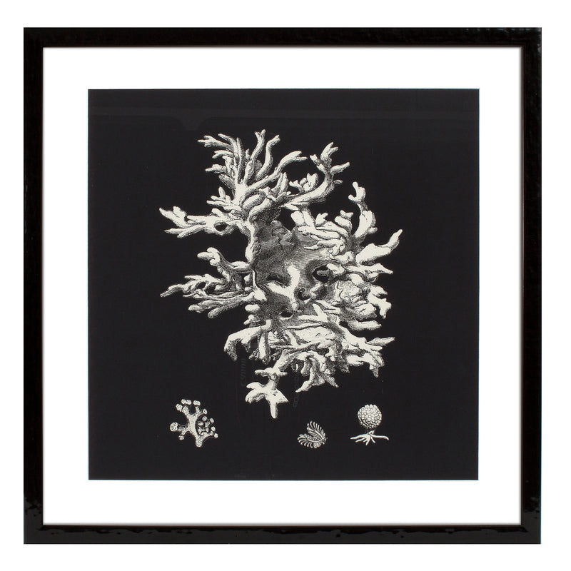 Prints Black & Tan Corals Set Of 4
