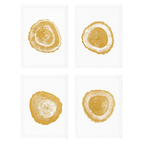 Prints Gold Foil: Tree Rings set of 4
