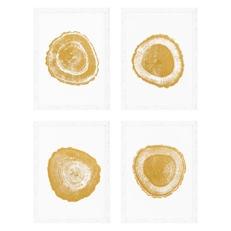 Prints Gold Foil: Tree Rings Set Of 4
