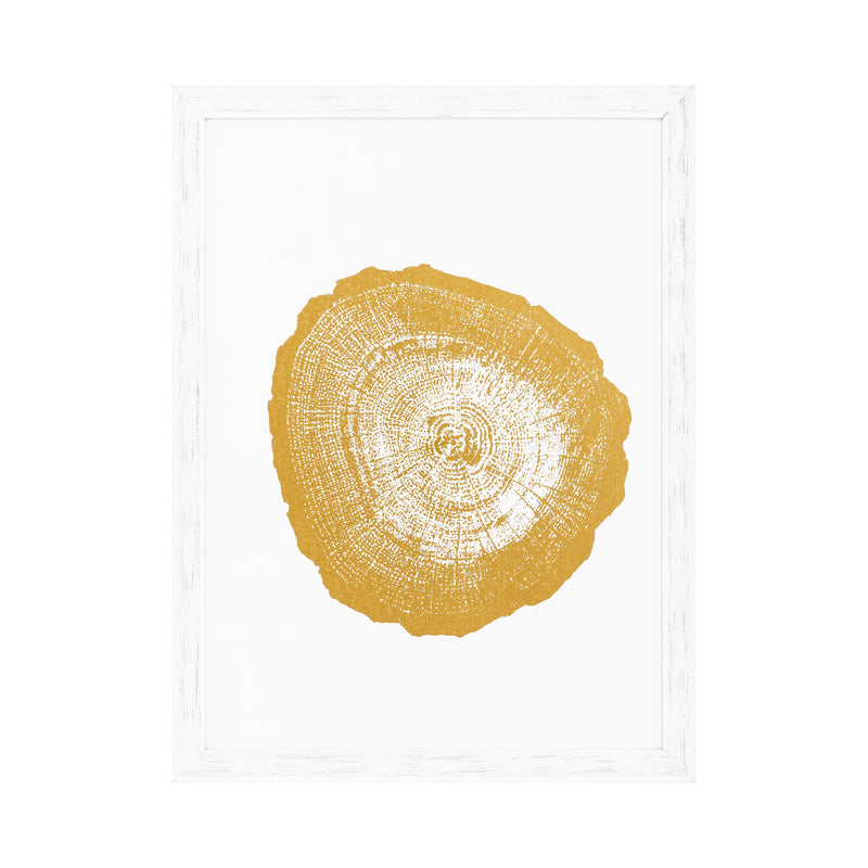 Prints Gold Foil: Tree Rings Set Of 4