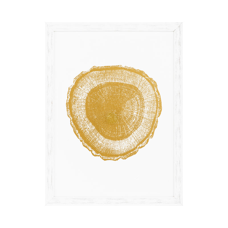 Prints Gold Foil: Tree Rings Set Of 4