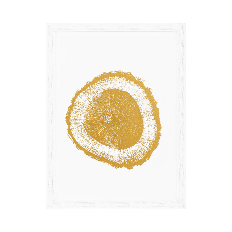 Prints Gold Foil: Tree Rings Set Of 4