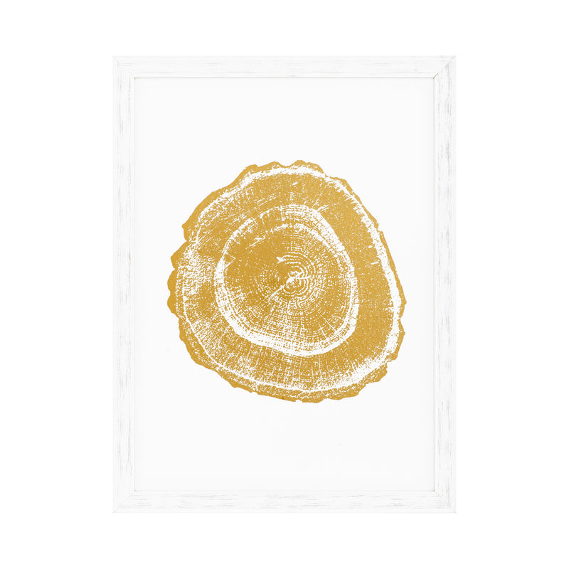 Prints Gold Foil: Tree Rings Set Of 4