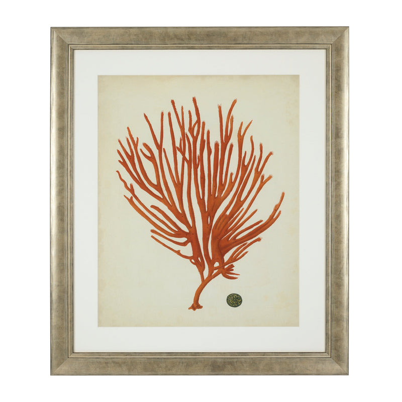 Prints Antique red corals set of 6