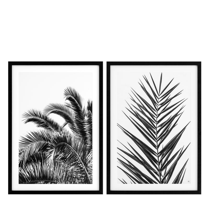 Prints Palm Leaves Set Of 2