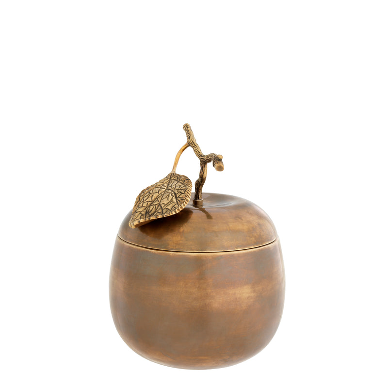 Box Apple & Pear Set Of 2